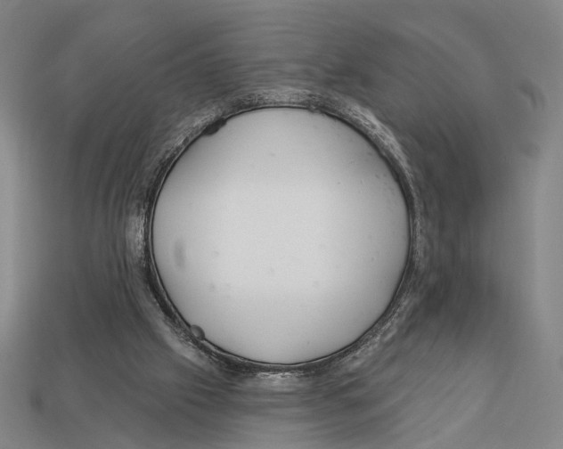 X0000112960057200909241208