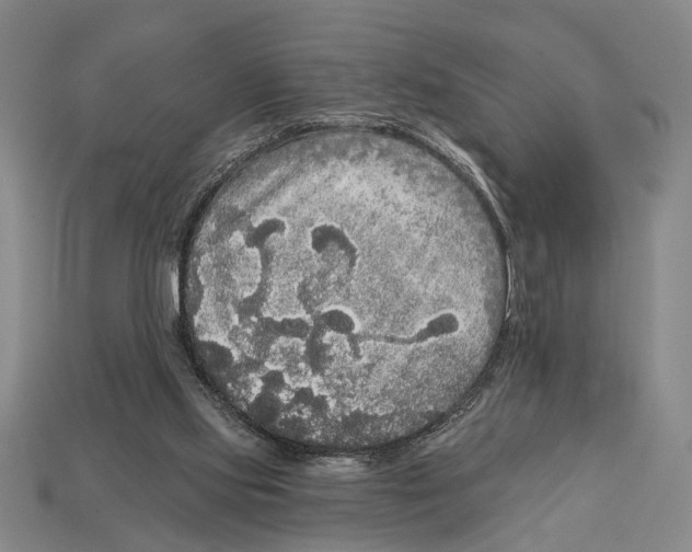 X0000112960061200909241208