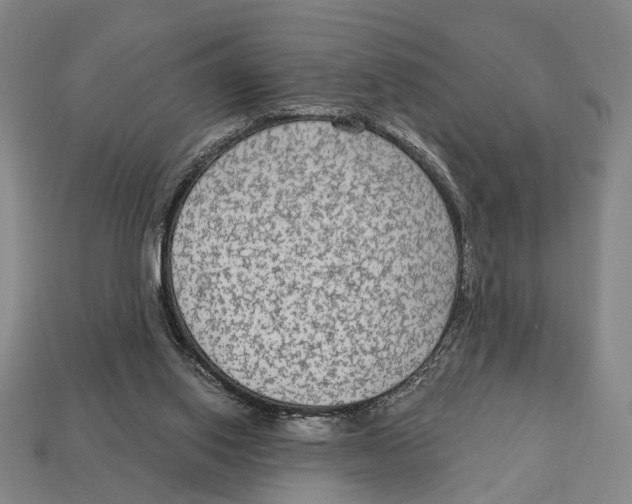 X0000112960062200909241208