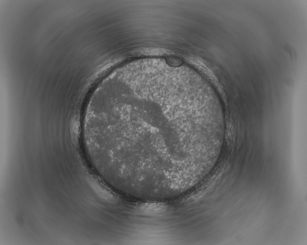 X0000112960063200909241208