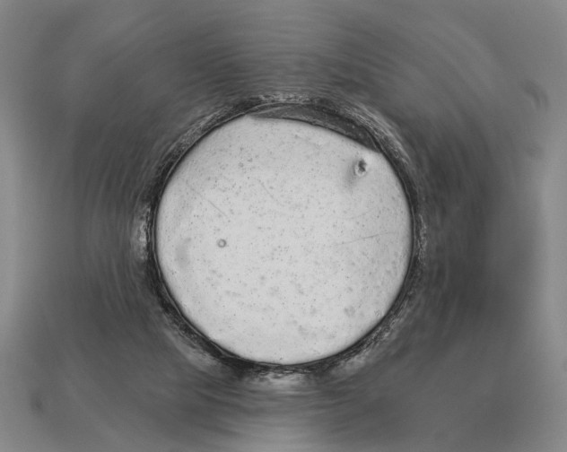 X0000112960065200909241208