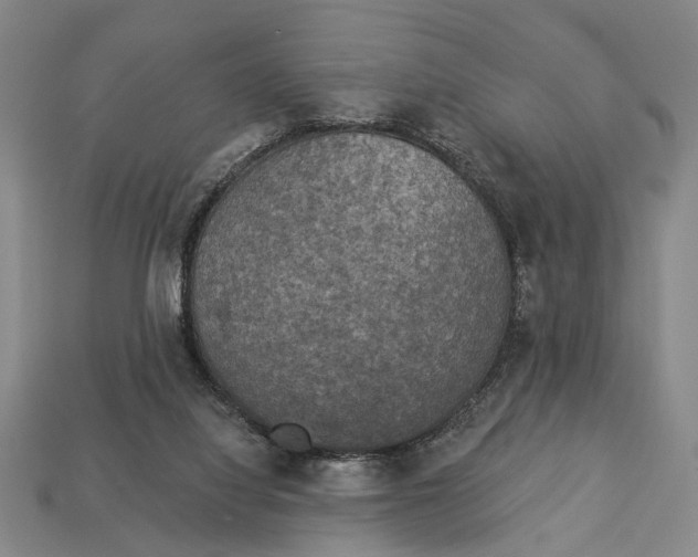 X0000112960068200909241208