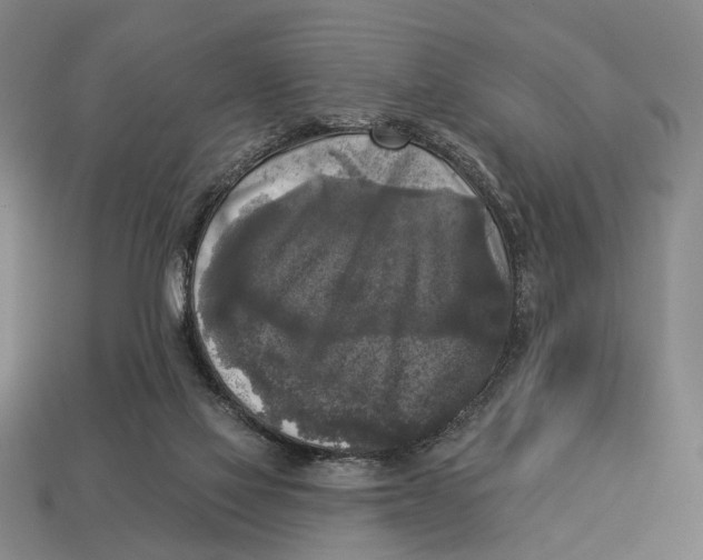 X0000112960069200909241208