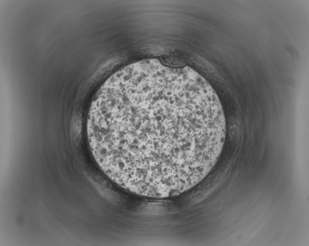 X0000112960072200909241208