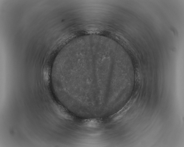 X0000112960074200909241208