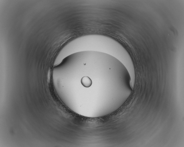 X0000112960076200909241208