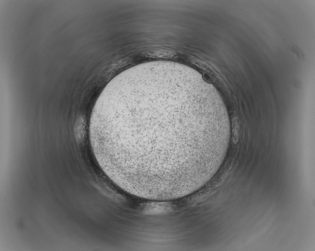 X0000112960077200909241208