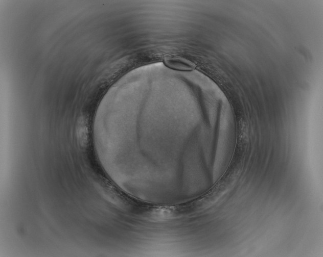 X0000112960080200909241208