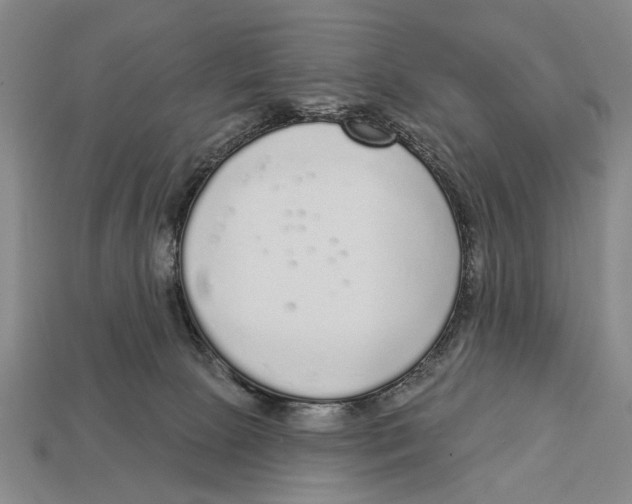 X0000112960081200909241208