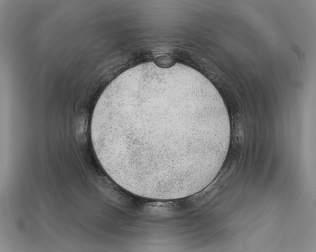 X0000112960082200909241208