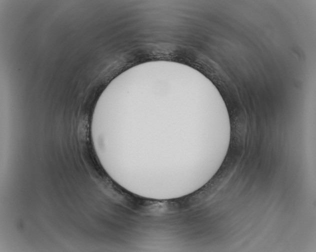 X0000112960083200909241208