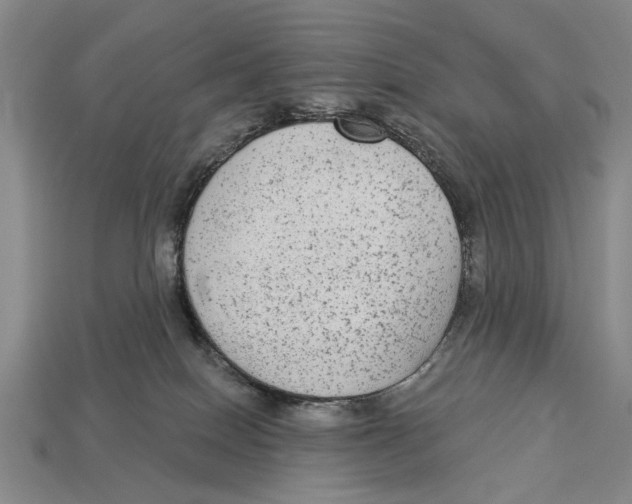 X0000112960086200909241208