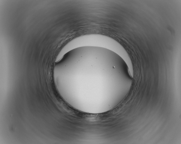 X0000112960088200909241208