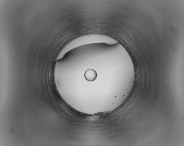 X0000112960092200909241208