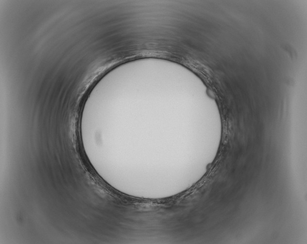 X0000112960098200909241208