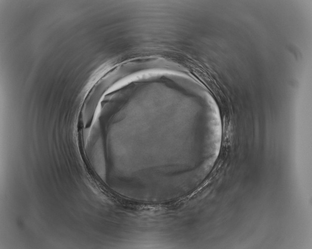 X0000112960099200909241208