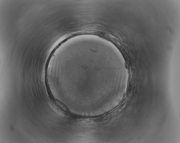 X0000112960100200909241208