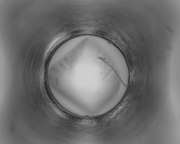 X0000112960101200909241208