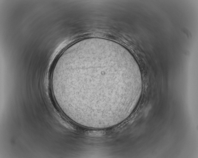 X0000112960102200909241208