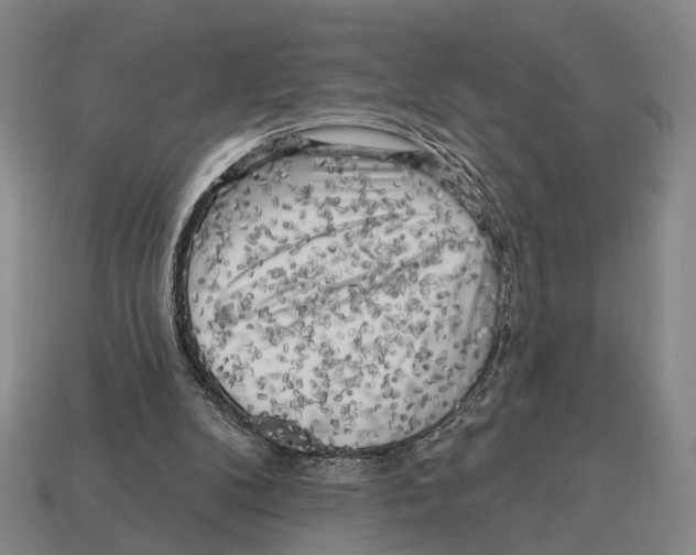 X0000112960104200909241208