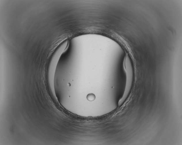 X0000112960105200909241208