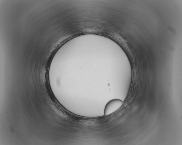 X0000112960106200909241208