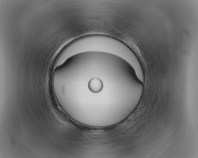 X0000112960108200909241208