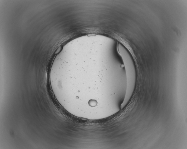 X0000112960109200909241208