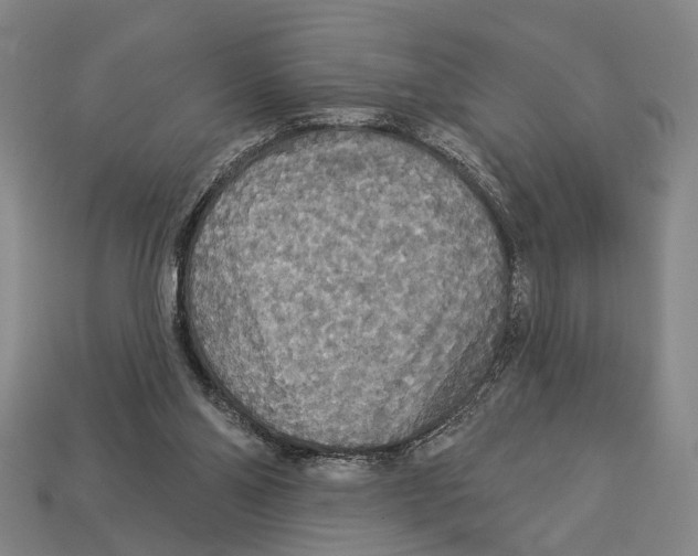 X0000112960110200909241208