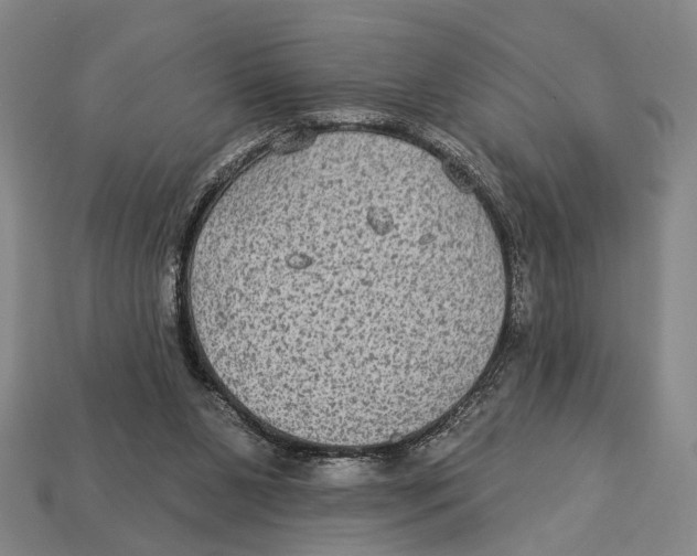 X0000112960111200909241208