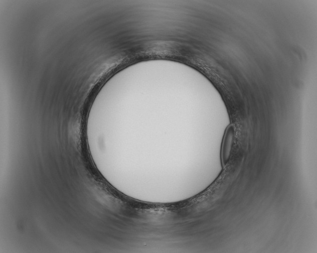 X0000112960112200909241208