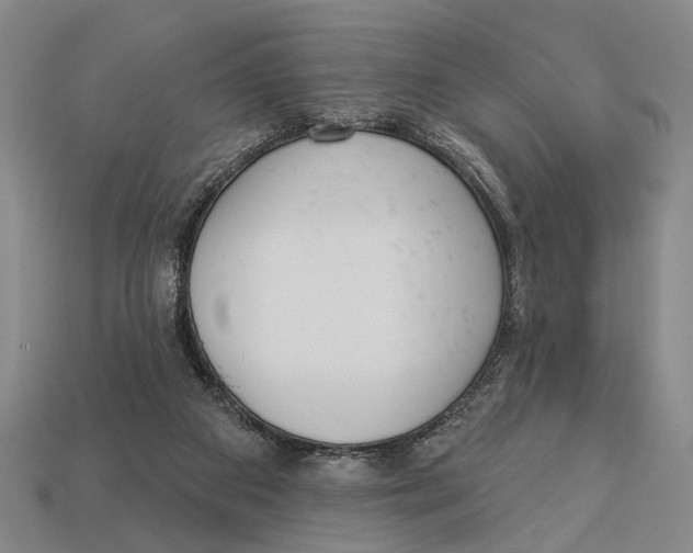 X0000112960113200909241208