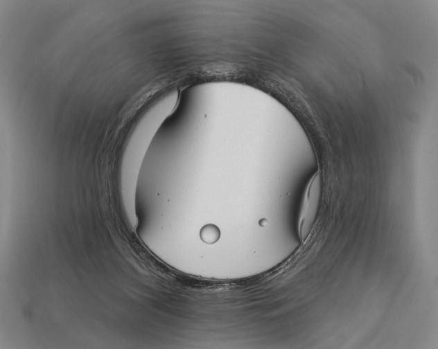 X0000112960116200909241207