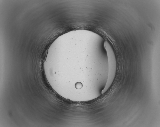 X0000112960117200909241207