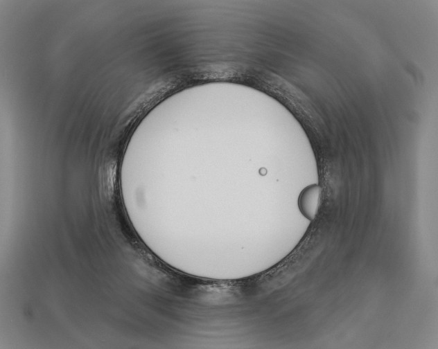 X0000112960118200909241207