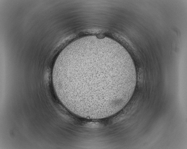 X0000112960119200909241207