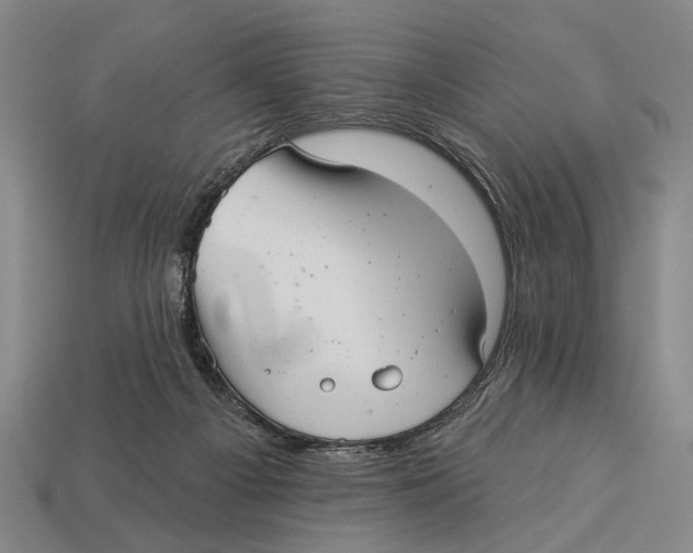 X0000112960121200909241207