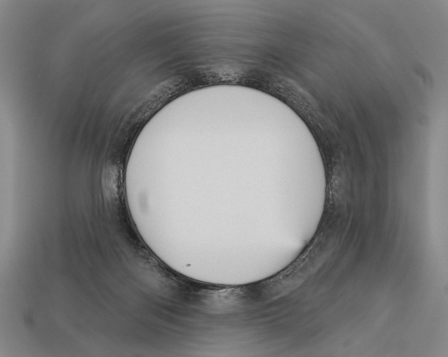 X0000112960122200909241207