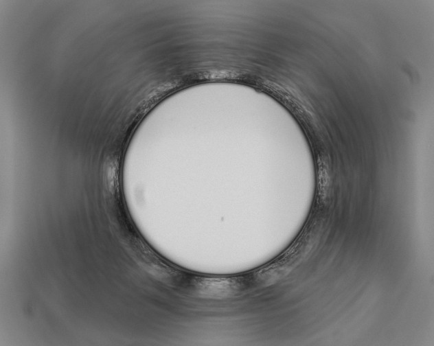 X0000112960123200909241207