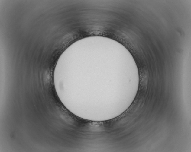 X0000112960126200909241207