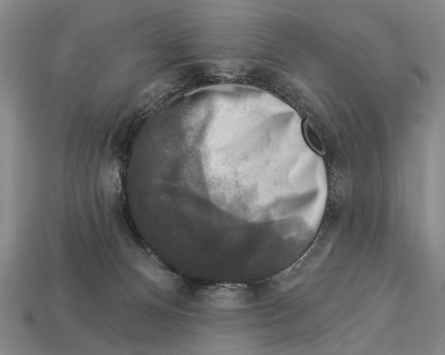 X0000112960128200909241207