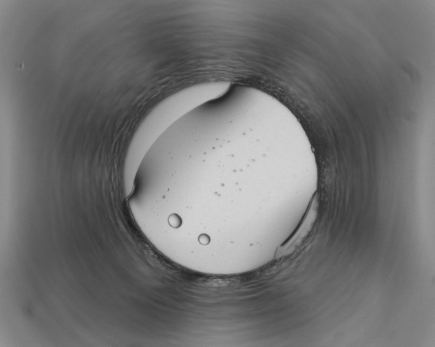 X0000112960129200909241207