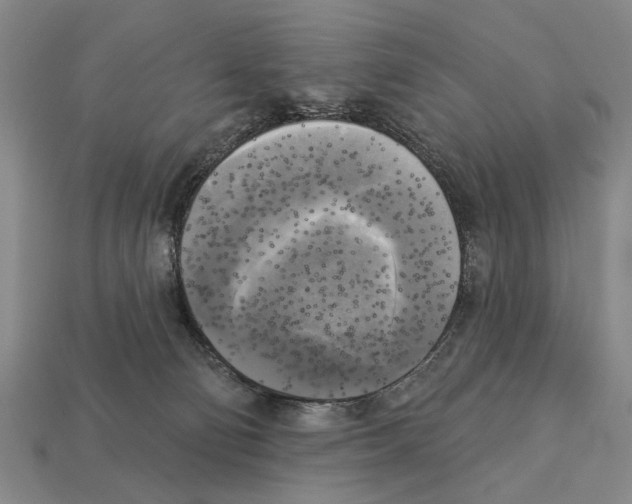 X0000112960130200909241207