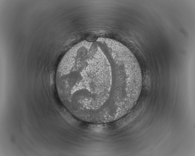 X0000112960131200909241207