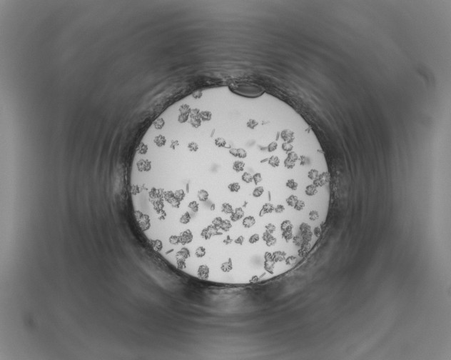 X0000112960132200909241207