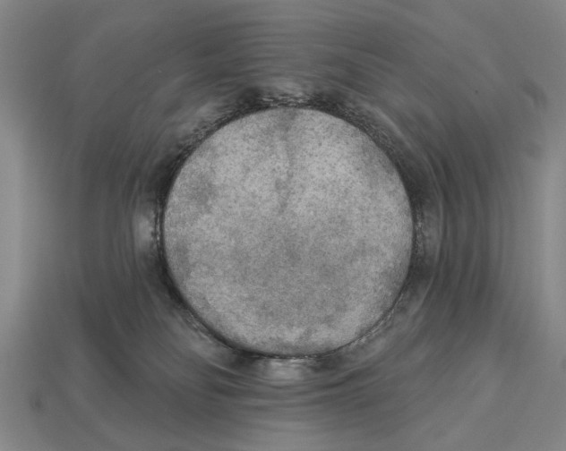 X0000112960134200909241207