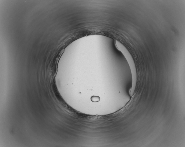 X0000112960136200909241207