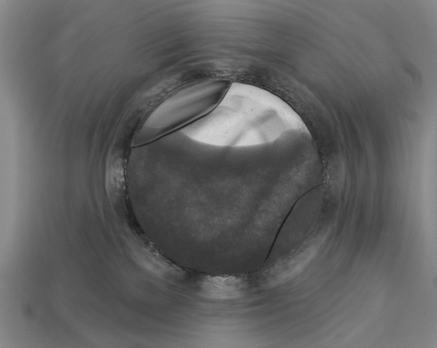 X0000112960137200909241207