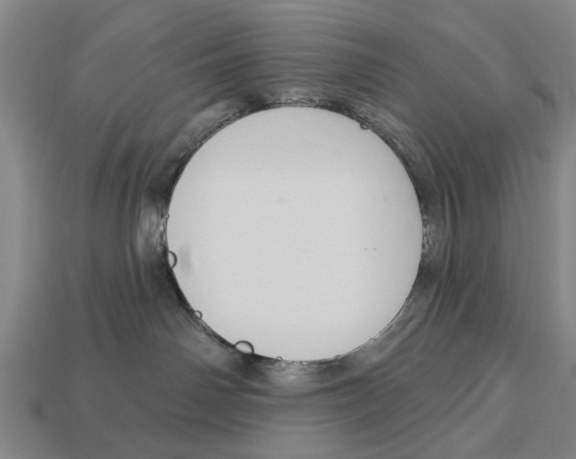 X0000112960142200909241207