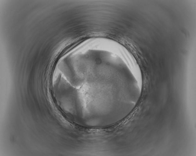 X0000112960145200909241206